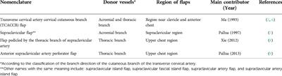 The transverse cervical artery cervical cutaneous branch flap: An anatomy-based nomenclature